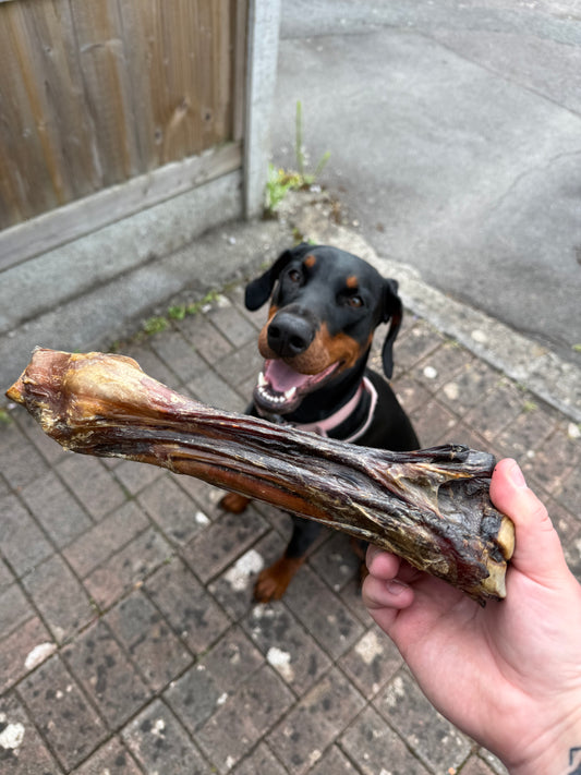 Horse Leg
