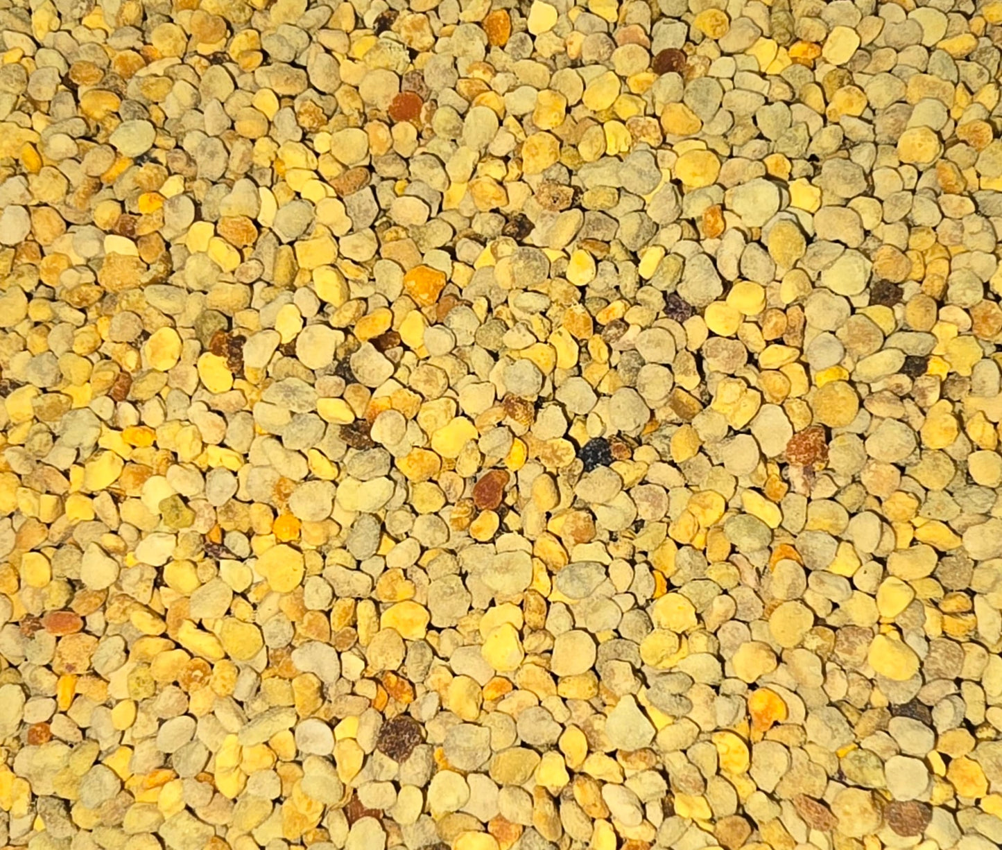 Organic Bee Pollen 100g