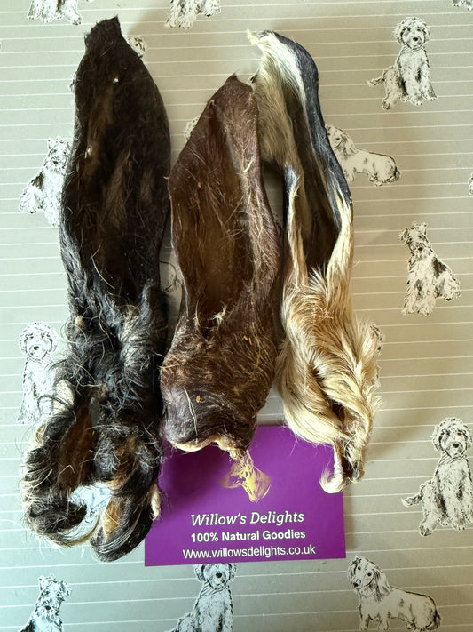 Goat Ear With Fur