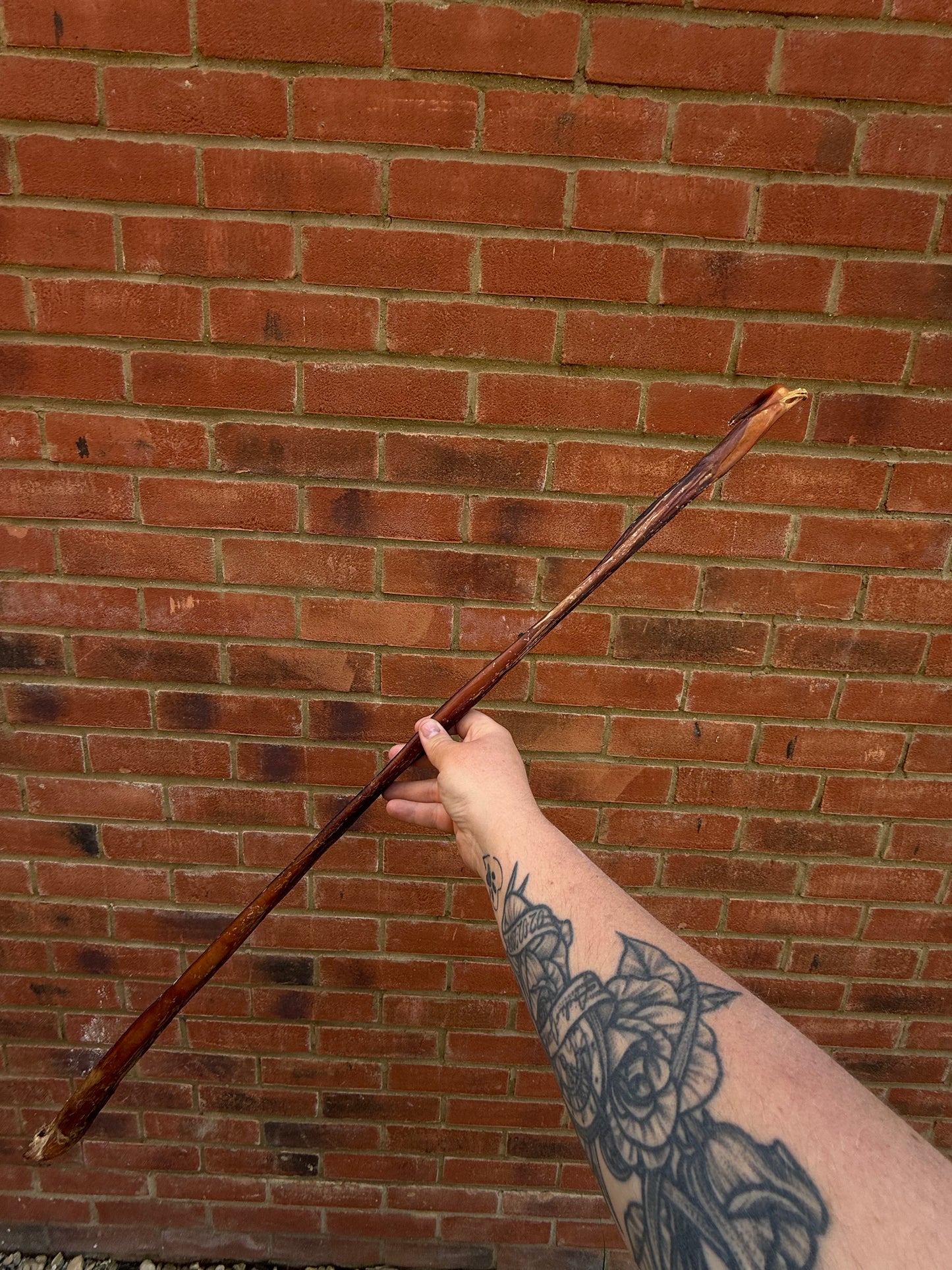Beef Pizzle Stick 80cm