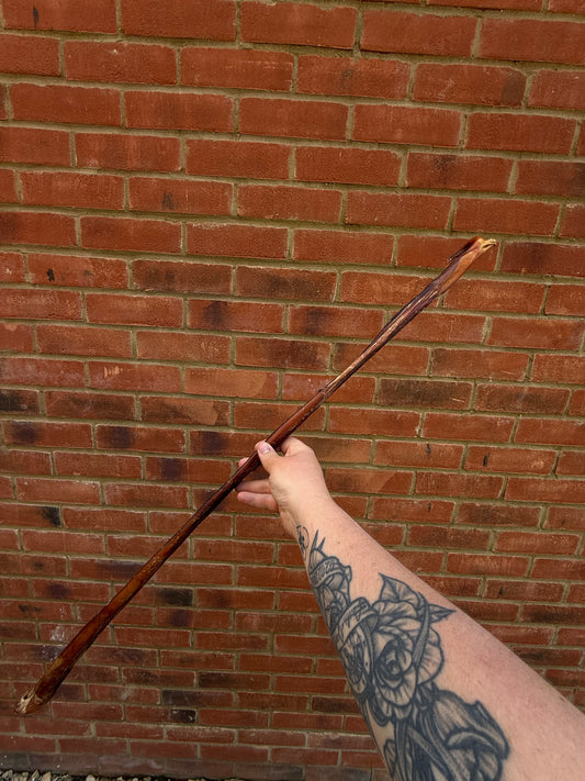 Beef Pizzle Stick 80cm